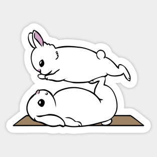 Acroyoga Bunnies Sticker